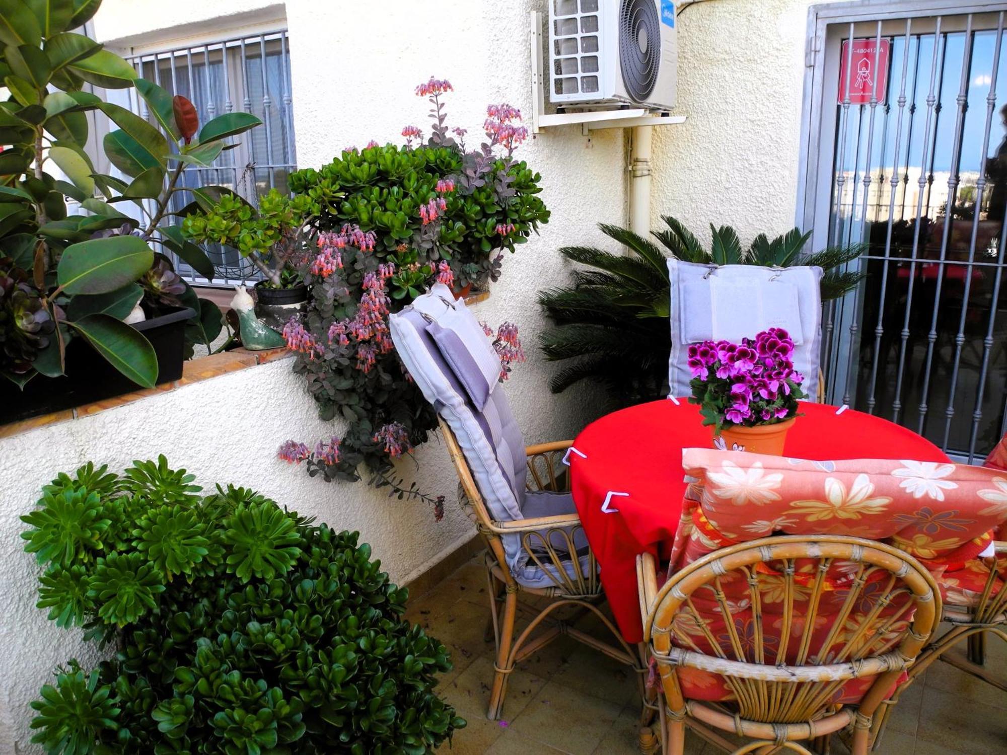Apartemento Monika Monte Pedrera C 4 Top Aussicht Дения Екстериор снимка